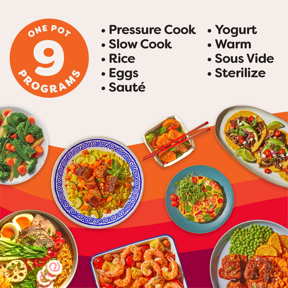 Instant Pot® DuoTM Plus 6QT Multi-Use Pressure Cooker